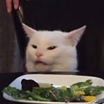 Mixer Instagram